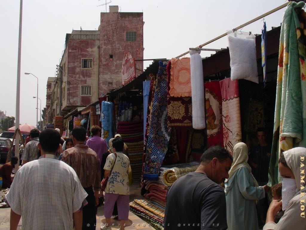 oran 137.jpg